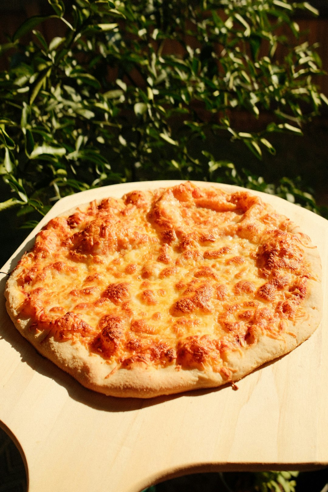 Garlic Bread